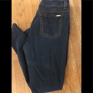 Melissa McCarthy Seven7 pencil Jean 12